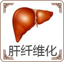 肝纤维化